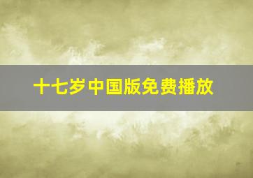 十七岁中国版免费播放