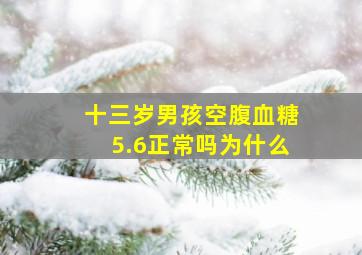 十三岁男孩空腹血糖5.6正常吗为什么