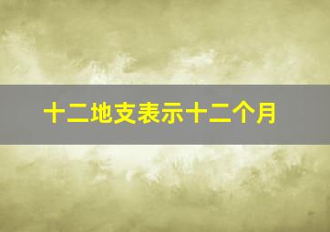 十二地支表示十二个月