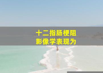 十二指肠梗阻影像学表现为