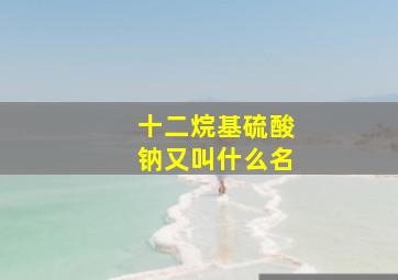 十二烷基硫酸钠又叫什么名