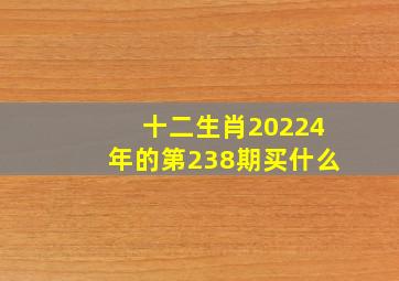 十二生肖20224年的第238期买什么