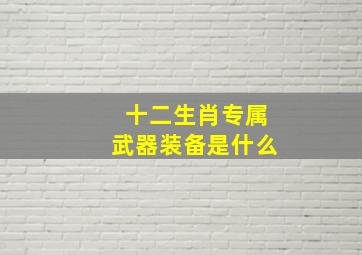 十二生肖专属武器装备是什么