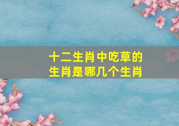 十二生肖中吃草的生肖是哪几个生肖