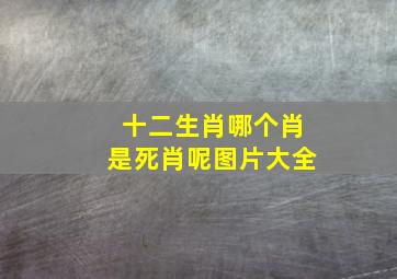 十二生肖哪个肖是死肖呢图片大全