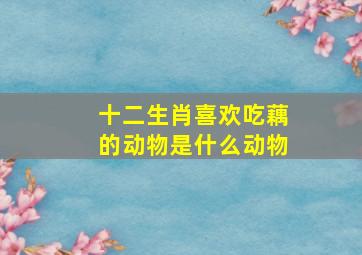 十二生肖喜欢吃藕的动物是什么动物