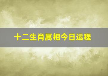 十二生肖属相今日运程