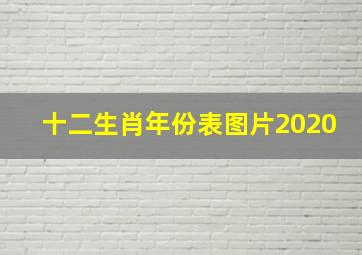 十二生肖年份表图片2020