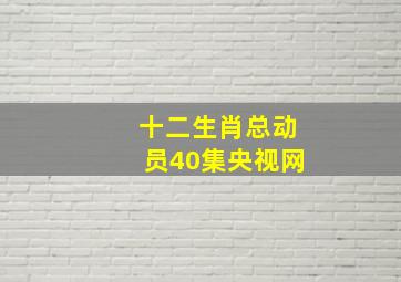 十二生肖总动员40集央视网