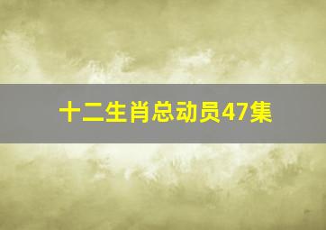 十二生肖总动员47集