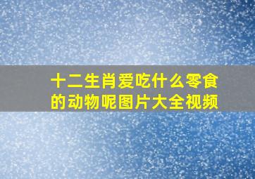 十二生肖爱吃什么零食的动物呢图片大全视频