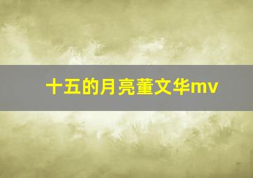 十五的月亮董文华mv