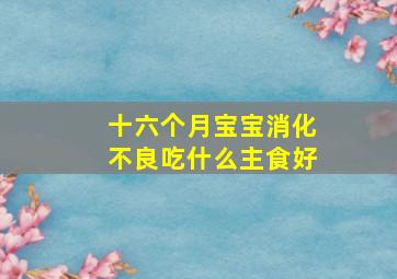 十六个月宝宝消化不良吃什么主食好