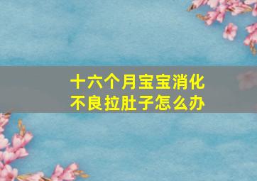 十六个月宝宝消化不良拉肚子怎么办