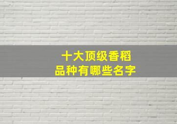 十大顶级香稻品种有哪些名字