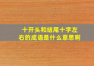 十开头和结尾十字左右的成语是什么意思啊