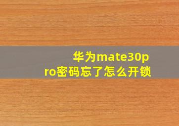 华为mate30pro密码忘了怎么开锁