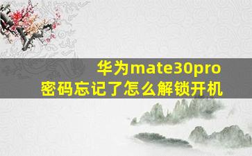 华为mate30pro密码忘记了怎么解锁开机