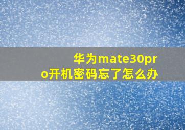 华为mate30pro开机密码忘了怎么办