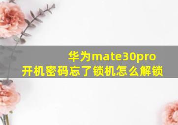 华为mate30pro开机密码忘了锁机怎么解锁