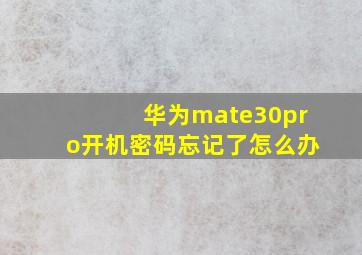 华为mate30pro开机密码忘记了怎么办