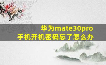 华为mate30pro手机开机密码忘了怎么办