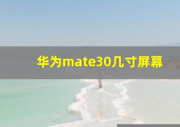 华为mate30几寸屏幕