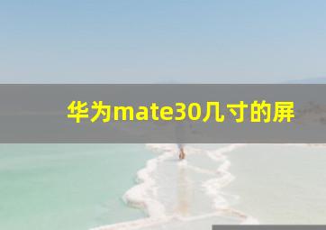 华为mate30几寸的屏