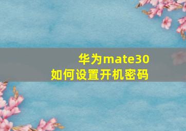 华为mate30如何设置开机密码