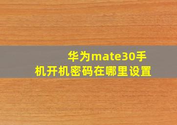 华为mate30手机开机密码在哪里设置