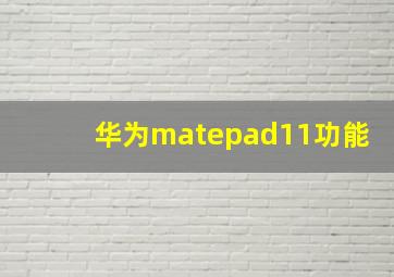 华为matepad11功能