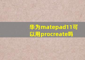 华为matepad11可以用procreate吗