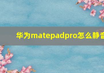 华为matepadpro怎么静音