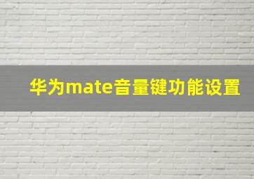 华为mate音量键功能设置