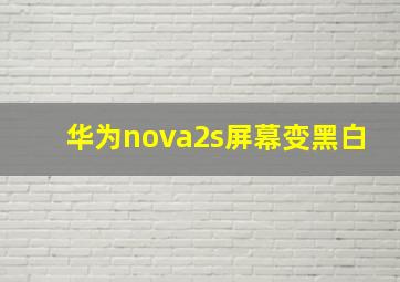 华为nova2s屏幕变黑白