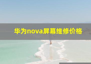 华为nova屏幕维修价格