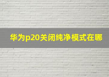 华为p20关闭纯净模式在哪