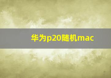 华为p20随机mac