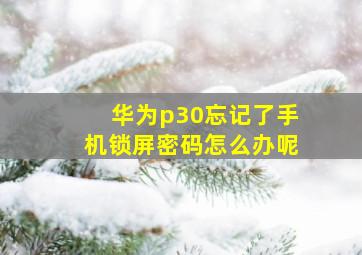 华为p30忘记了手机锁屏密码怎么办呢