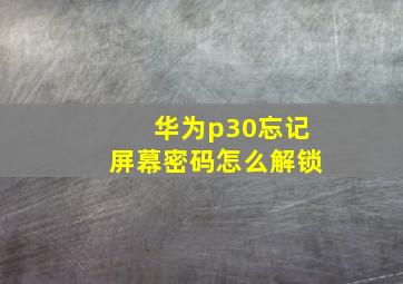 华为p30忘记屏幕密码怎么解锁