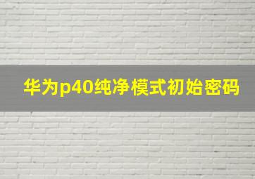 华为p40纯净模式初始密码