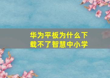 华为平板为什么下载不了智慧中小学