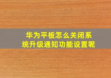 华为平板怎么关闭系统升级通知功能设置呢