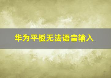 华为平板无法语音输入