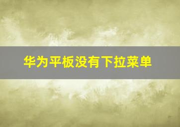 华为平板没有下拉菜单