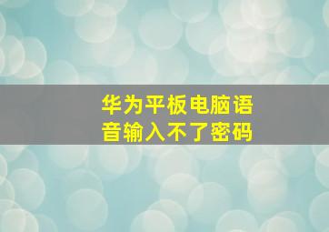 华为平板电脑语音输入不了密码