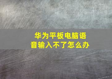 华为平板电脑语音输入不了怎么办