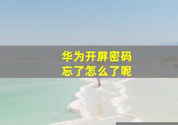 华为开屏密码忘了怎么了呢