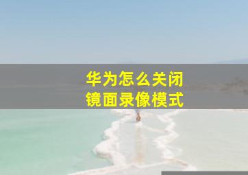 华为怎么关闭镜面录像模式