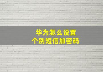 华为怎么设置个别短信加密码